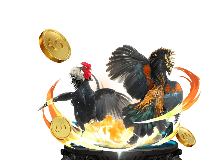 Đá gà trực tuyến tại 8kbet